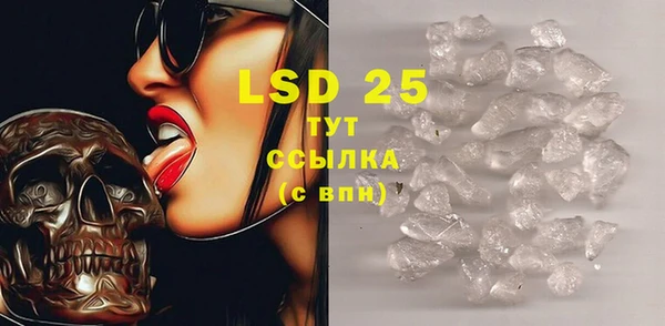 spice Верея