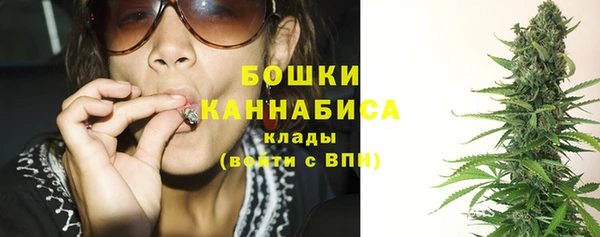 spice Верея