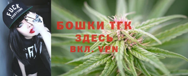 ГАЛЛЮЦИНОГЕННЫЕ ГРИБЫ Верхний Тагил