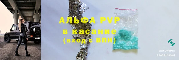 spice Верея